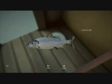 【The Long Dark】まったり狩猟生活 Part11【結月ゆかり実況】