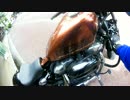 狛犬の大型バイク購入記～ハーレー48で流してみた～