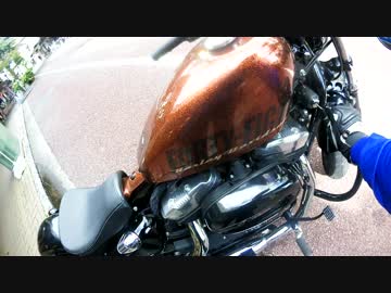 狛犬の大型バイク購入記～ハーレー48で流してみた～