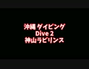 【HDR-AS100V】沖縄 ダイビング Dive 2 神山ラビリンス【MPK-AS3】