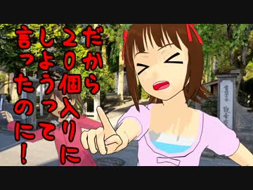 アイドルどうでしょう４９話　越後三十三ヶ所巡礼⑤