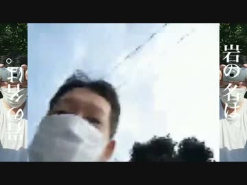 集集集団