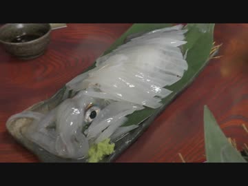 30すぎたおっさんのZX10Rどうがにっき　Part.61