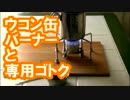 ウコン缶バーナーと専用ゴトク