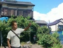 岩間邸に凸しに行った野獣先輩と遠野.pong