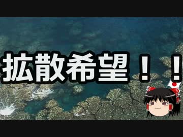 勝手に検問をしてトラブった沖縄ヘイワ活動家、警察に泣きつく。