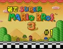 【縛り実況】箸でスーパーマリオブラザーズ3を実況プレイ part1