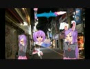 日常の合間に人形を探検させる二十代女性（最終回）（再放送）