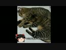 ゆっくりガンオンー名前はまだ無い！（普通の黒Mk-Ⅱ編）