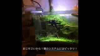 アイデアクアリウム