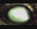 【Halo legend OF fantasy】スパルタンが幻想入り 第9話 Part2