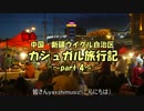 弾丸カシュガル旅行記 part4 -カシュガル街歩きその2-（夜飯＆夜の様子)