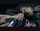 アウトドアをやろう！「鳥の丸焼き食べるぞ」 in 八丈島