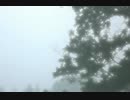 僕と言う名の雨の粒