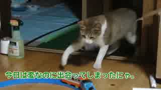 猫vsプラレールの戦い。猫はどう反応するのかやってみた。