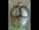 男性型胴体防具の作り方