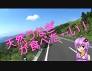 2ｽﾄ･ﾊｽﾗｰで行く 　2泊5日の四国旅　part2 【結月ゆかり】
