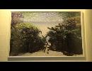 【アクアリウム？】ADAの天野さんが作成した水景のパズルを作ってみた！