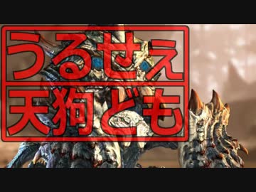 うるせぇ天狗どもがモンハンオンラインやりました03
