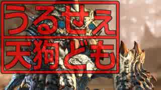 うるせぇ天狗どもがモンハンオンラインやりました03