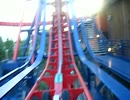 Sheikra Roller Coaster