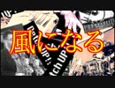 風になる【猫の恩返し】を演奏してみた