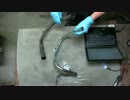 ワークスくんの大冒険⑱ 冷却ペイパイプ交換
