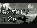 【ゆっくり】塩分を捧げよ 12g【Salt and Sanctuary】