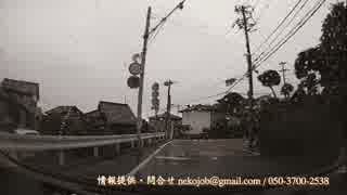 超危険・信号無視衝突事故寸前・超馬鹿ドライバー