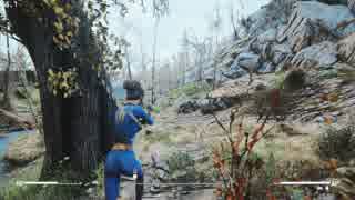 【Fallout4】 リオのサバイバル冒険記（仮） 近況 【PC版】