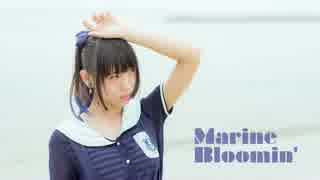 【雛姫】 Marine Bloomin' 【踊ってみた】