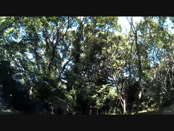 見習い農家　Lv32