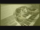 【エレクトーンで】AYURA～３人アレンジVr【弾いてん】