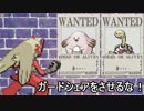 【ポケモンORAS】1から始める総合勢の道　Part22【ダブル】