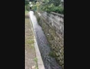 [旅行]松本城近くの水路をただ見るだけの30秒
