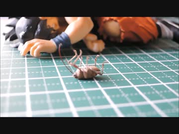 コナラシギゾウムシ
