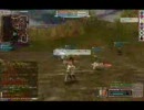 （FEZ）ファンタジーアース D鯖ホル 空翔ぶ直下型無敵パニ