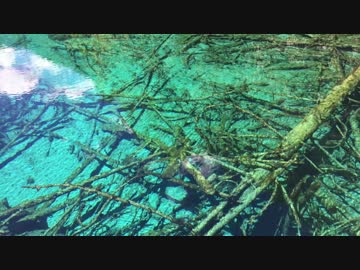 【地球さんぽ】中国・九寨溝【世界遺産】