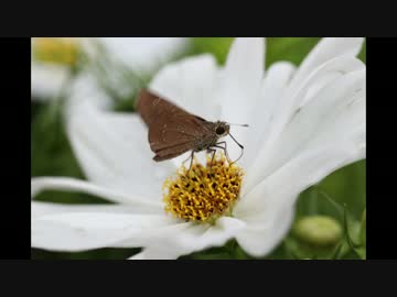 【スペイド】設楽町の旧校舎巡り