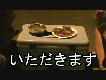 【オトナも遊ぼう】八丈島に行こーZE！part４【Catch and Eat】