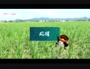 2016/09/13放送【2016野洲のおっさんビワイチ行脚】