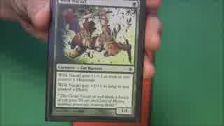 MTG 「元」海外在住のデッキ紹介　モダンZoo  ＋最強のおまけ