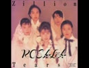 【プログレ】Rosalia/Zillion Tears