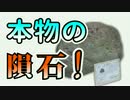 【UFOキャッチャー】本物の隕石を獲りまくる！