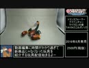 【ゆっくり】ＴＦアドベンチャーよりスコルポノックを紹介【ＴＦ玩具】