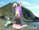 日本の石をみつけたHSI姉貴