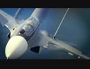 Su-35 Flanker E　~祖国は我らのために~
