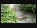 ③ 箱根 大涌谷小噴火【県道734号線から見る大涌谷】-2015年6月30日