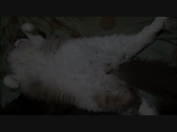 おとこのこのねぞう