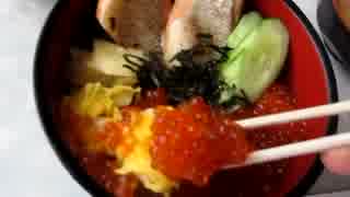 【海ニコ4-1】新日本海フェリーはまなす乗船　Part3【おしゃべり探検】